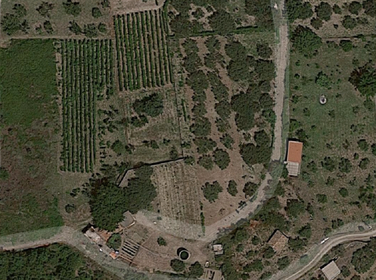 La campagna e la gallina